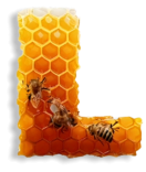 Miele della Carnia Friuli Venezia Giulia