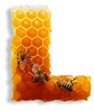 Miele della Carnia Friuli Venezia Giulia